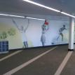 Gym wallpaper covering St. Pete FL